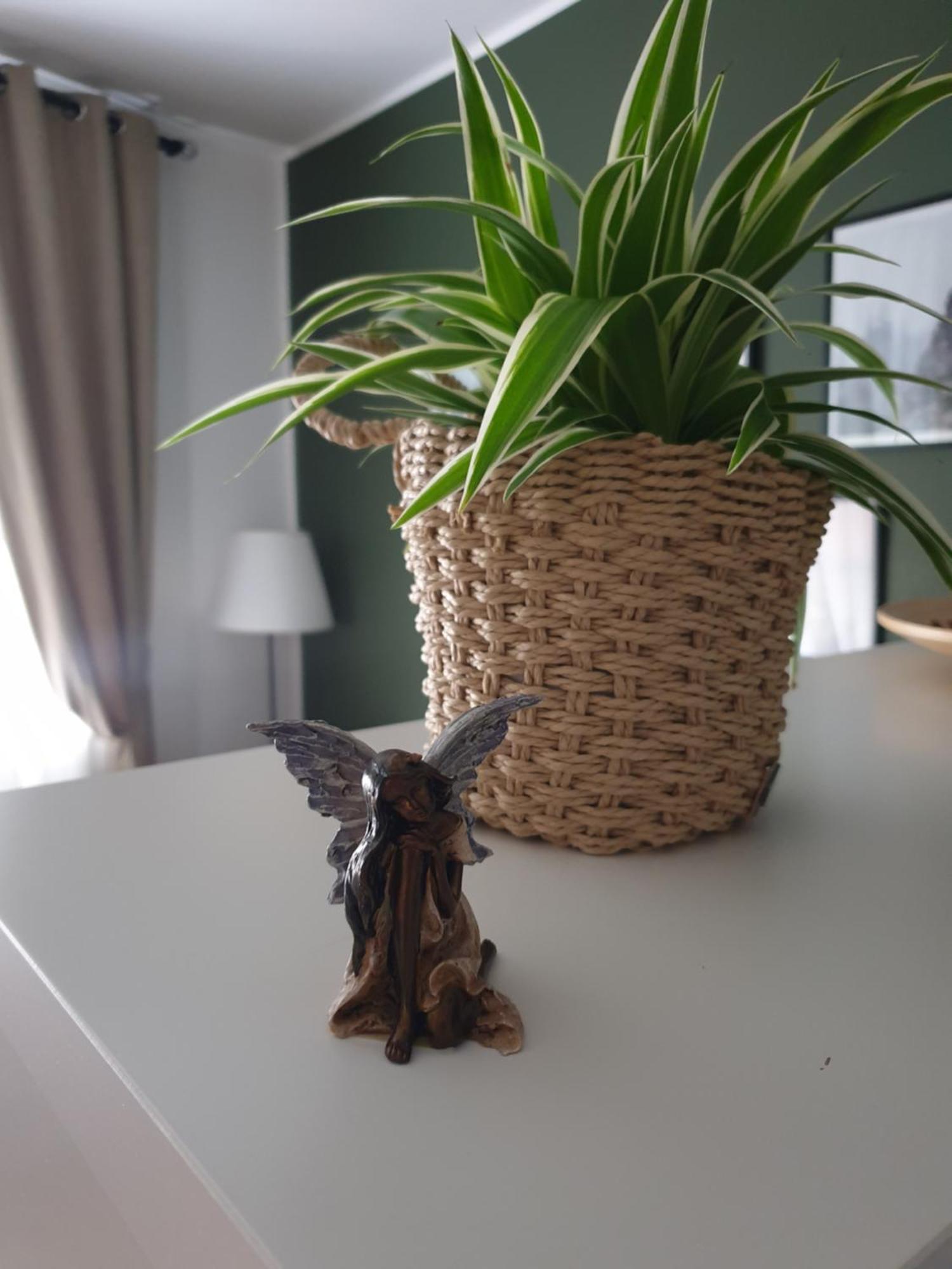Apartma Thermos Krapinske Toplice Dış mekan fotoğraf